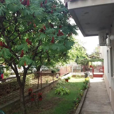 Bojke Apartment Nis